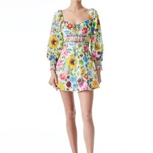 Alice + Olivia mini dress
